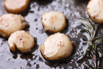 Scallops in pan