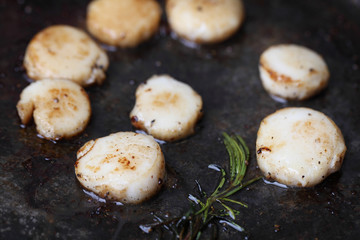 Scallops in pan