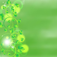 Branch with green leaves