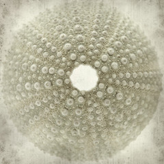 textured old paper background