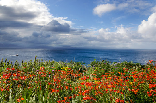 Slea Head Drive View, Ventry, Dingle Peninsula, Ireland
