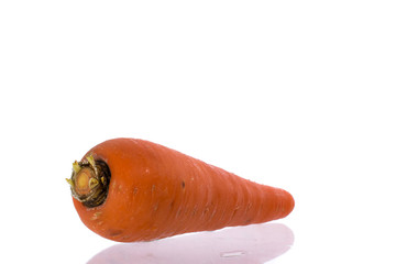 Carrot