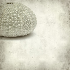 textured old paper background