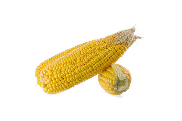 new corn