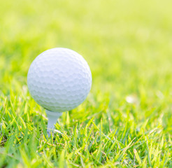 Golf ball on green grass