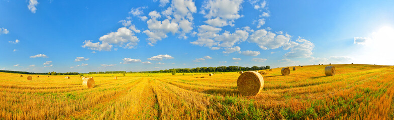 Summer country - obrazy, fototapety, plakaty