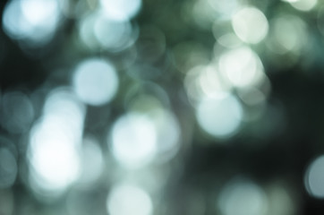 beautiful green nature vintage style bokeh abstract for background