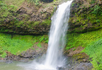 Fototapeta na wymiar Tadetu Waterfall, Paksa Champasak South Laos.