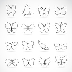 Vector group of butterfly on white background.