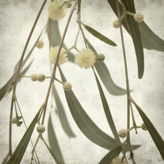 textured old paper background