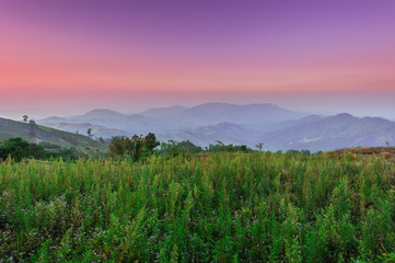 Naklejka na ściany i meble Landscape scene of mountain at dawn with beautiful sunset sky