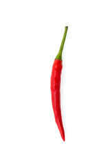 Chilli isolated on white