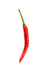 Chilli isolated on white