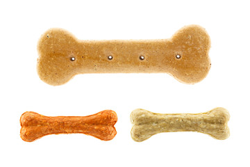 Collection bone shaped dog treats