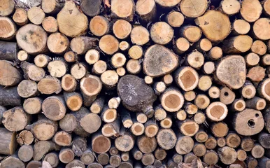 Möbelaufkleber Firewood stacked up in a pile © CasanoWa Stutio