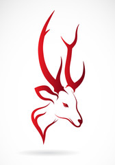 Vector image of an deer head on a white background