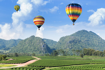 Naklejka premium Hot air balloon over the mountain and tea plantation