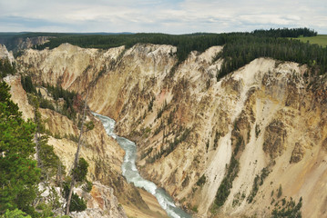 View from above on river canyon in yellowstone national park