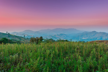 Naklejka na ściany i meble Landscape scene of mountain at dawn with beautiful sunset sky