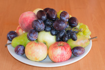 fruit plate