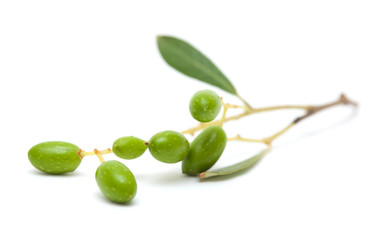 forming olives