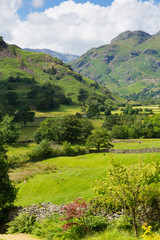 Obraz premium Langdale Valley Lake District Cumbria England UK in summer