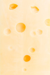 Cheese isolated on white