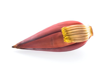 Banana blossom isolated on white