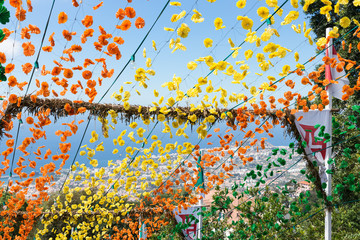 Aerial view of Funchal, Madeira through flowers decoration © Kruwt
