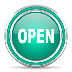 open green glossy web icon