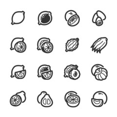 Citrus fruits icons – Bazza series