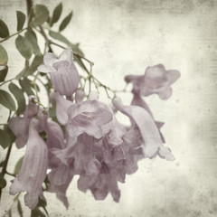 textured old paper background