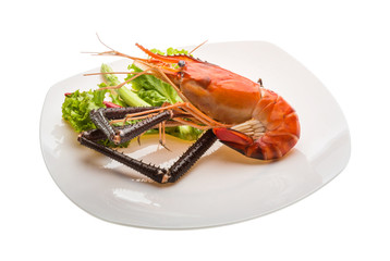 Giant Freshwater Prawn