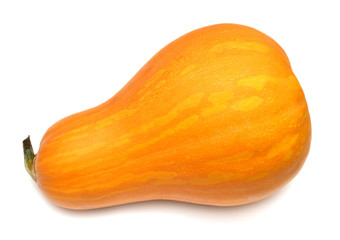 Ornamental squash