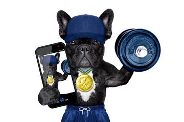 dog sport selfie