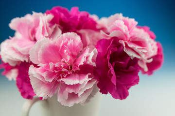 カーネーション