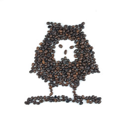 Coffee Beans image Owl