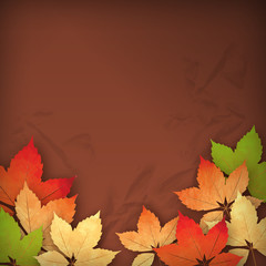 Naklejka na ściany i meble Autumn Vector Fall Leaves