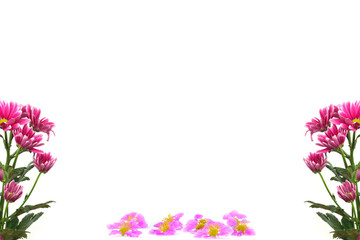 Obraz na płótnie Canvas Purple flowers branches frame isolated on white background