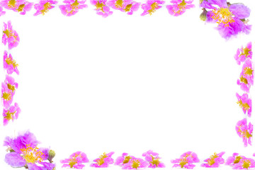 Purple flowers branches frame isolated on white background