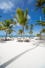 Fototapeta premium Caribbean sand beach with palm trees in Dominican Republic