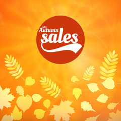 Autumn sale realistic Leaves typography poster.