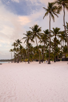 Caribbean Beach at sunrise