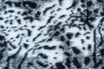 texture of leopard skin and fur