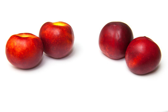 .Nectarines isolated on a white studio background.