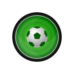 Soccer ball vector icon, button