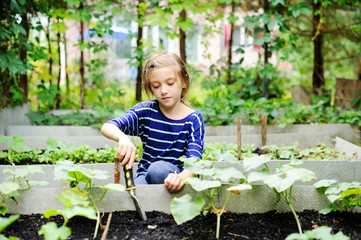 Gardening. Kid girl working in vegetable garden