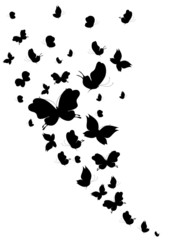 butterflies design