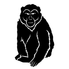 Monkey.