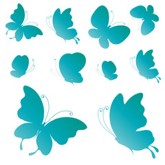 butterflies design